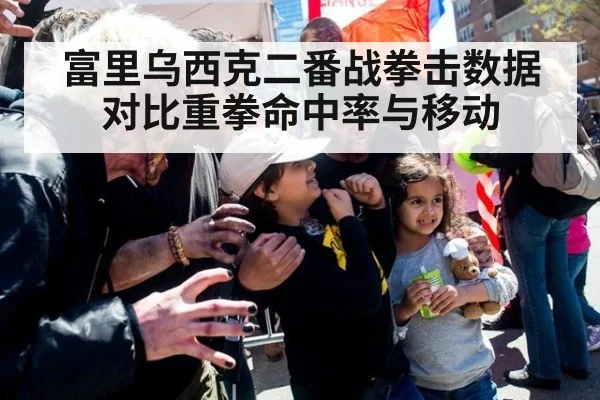 富里乌西克二番战拳击数据对比重拳命中率与移动